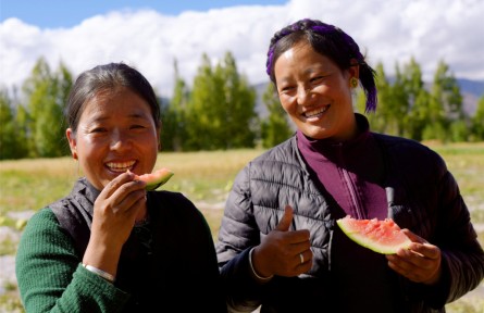 西藏首次！日喀則成功規(guī)?；N植高海拔露地西瓜