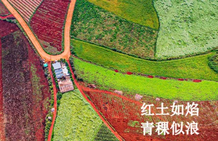 秋分：尋色山河間 攬盈滿秋實