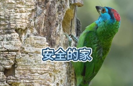 旅游寶藏地！帶你解鎖中國(guó)34個(gè)世界生物圈保護(hù)區(qū)