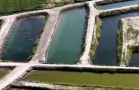 科技助力 新疆荒漠變身“西部大糧倉”