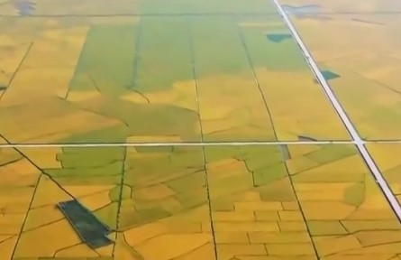 【新思想引領(lǐng)新征程·非凡“十四五”】我國糧食供給保障能力持續(xù)增強