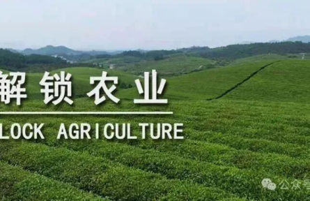 未來十年，中國需要什么樣的農(nóng)業(yè)品牌？｜特稿