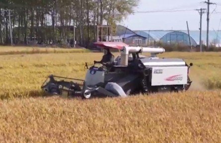 黑龍江：晝夜搶收穩(wěn)糧倉