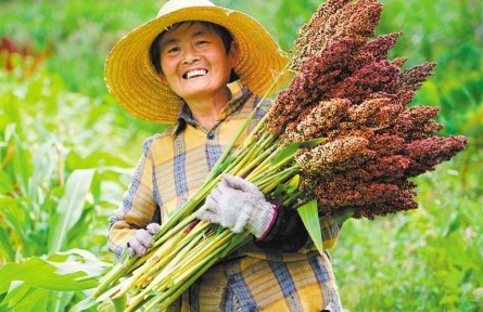 圖集|絢麗金秋