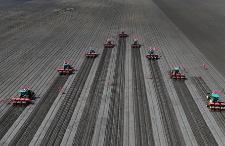 守好糧食生產(chǎn)的命根子！我國擬立法加強耕地保護和質(zhì)量提升