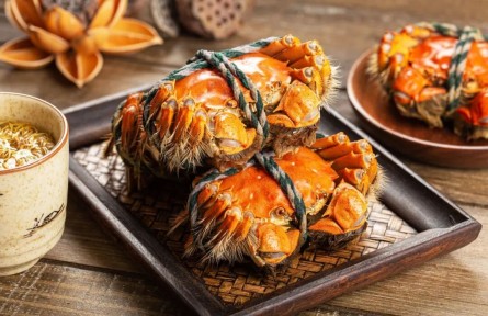 辟謠|剛死的螃蟹，到底能不能吃？