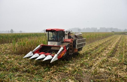 如何打好秋收秋種這場硬仗？