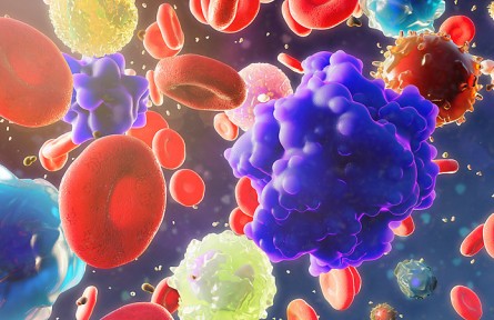 科技名詞|循環(huán)腫瘤細胞 circulating tumor cell；CTC