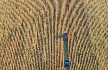 吉林秋收“加速度”，進(jìn)度同比提速5%