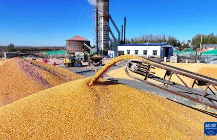 霜降時(shí)節(jié)農(nóng)事忙