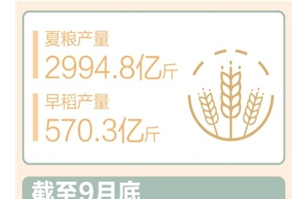 前三季度農(nóng)村居民人均可支配收入同比實際增長6%