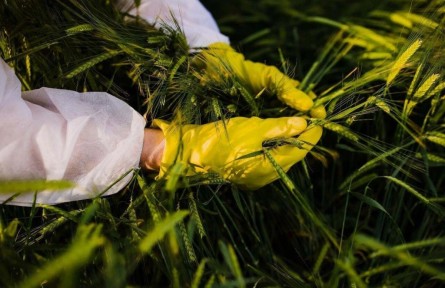 斬斷田間竊密黑手！間諜在我國搜集農(nóng)作物基因數(shù)據(jù)