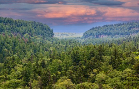 科技名詞|自然保護(hù)區(qū) nature reserve，nature sanctuary