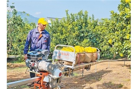 廣東梅州梅縣區(qū)南福村延伸金柚產(chǎn)業(yè)鏈，推動農(nóng)文旅融合——柚農(nóng)從一季賣果到四季有進項