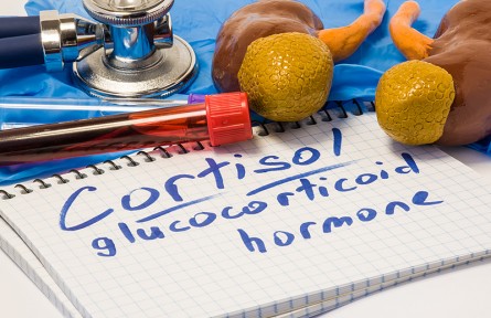 科技名詞|糖皮質(zhì)激素 glucocorticoid；glucocorticosteroid