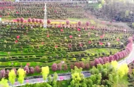 我國(guó)現(xiàn)代農(nóng)業(yè)產(chǎn)業(yè)園總產(chǎn)值超3萬(wàn)億元