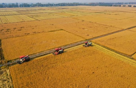 增肥黑土地 筑牢大糧倉(cāng)——吉林加強(qiáng)黑土地保護(hù)一線觀察