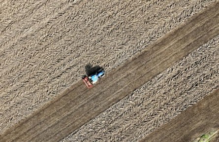 記者手記：晚播晚種，會(huì)影響“中原糧倉(cāng)”明年夏收嗎？