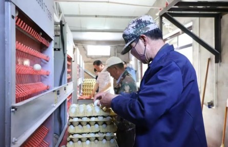 寧夏固原地理標(biāo)志全產(chǎn)業(yè)鏈產(chǎn)值達(dá)108.5億元