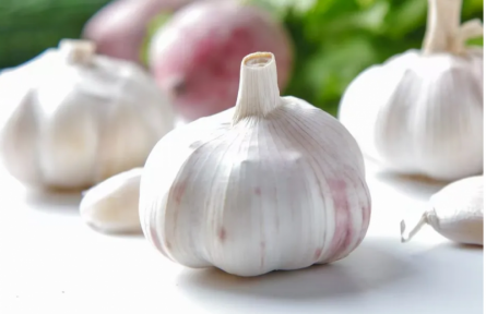 家鄉(xiāng)特優(yōu)農產品大學生推薦官 | 品牌手記?：金鄉(xiāng)大蒜里的匠心傳承與產業(yè)新生