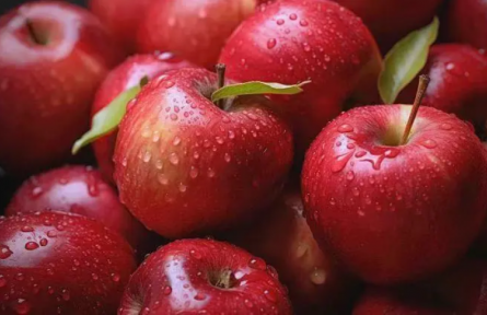 家鄉(xiāng)特優(yōu)農產品“大學生推薦官”行動 | 品牌手記?：臨猗—“蘋”添幸福的密碼