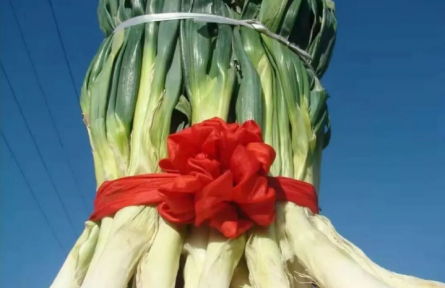 家鄉(xiāng)特優(yōu)農產品大學生推薦官 | 品牌智庫建議⑦：澤州巴公的金蔥之路