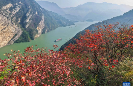 裁取冬色入畫(huà)框