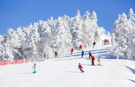 新雪季來(lái)吉林看什么？“國(guó)際大賽+全民冰雪”的雙向開(kāi)嗨！