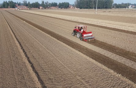 今冬不放松，來(lái)年“豐”可期——多地冬種及田間管護(hù)見(jiàn)聞