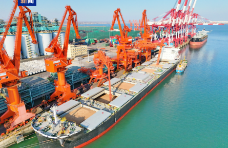 山東青島港刷新糧食碼頭行業(yè)接卸紀(jì)錄