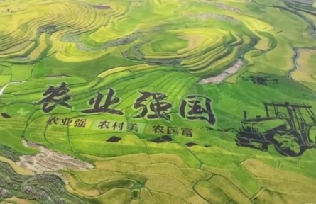 【踐行新發(fā)展理念 中國(guó)經(jīng)濟(jì)行穩(wěn)致遠(yuǎn)】鄉(xiāng)村全面振興扎實(shí)推進(jìn) 農(nóng)業(yè)農(nóng)村現(xiàn)代化邁出堅(jiān)實(shí)步伐