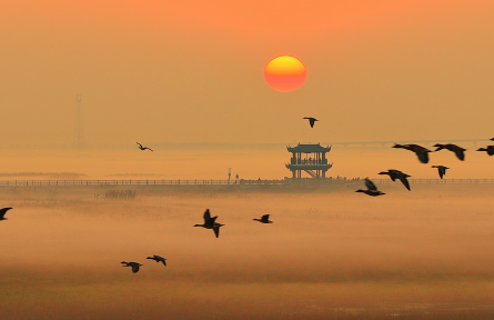 江西九江：晨霧輕攏鄱陽湖 再現(xiàn)“秋水共長天一色”詩意