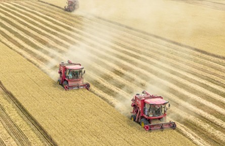 筑牢發(fā)展安全根基 守住風(fēng)險(xiǎn)防控底線(xiàn)——解碼中國(guó)經(jīng)濟(jì)穩(wěn)健前行的底氣