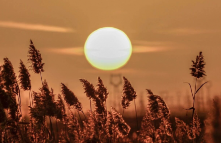 甘肅敦煌：大漠孤煙直，黨河落日?qǐng)A