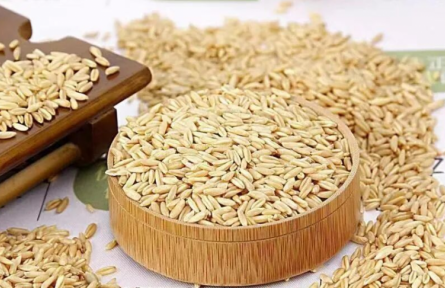 家鄉(xiāng)特優(yōu)農(nóng)產(chǎn)品大學(xué)生推薦官 | 品牌手記?：寧武，高山雜糧莜麥變營(yíng)養(yǎng)黃金