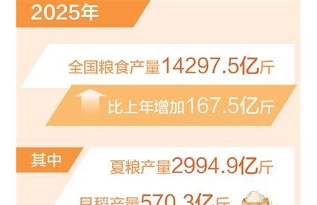 全年糧食生產(chǎn)再次實現(xiàn)高位增產(chǎn)