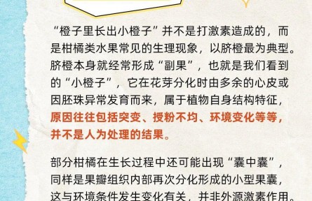 橙子里的“小橙子”有激素不能吃嗎？