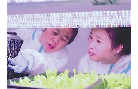 植物工廠里的“黑科技”