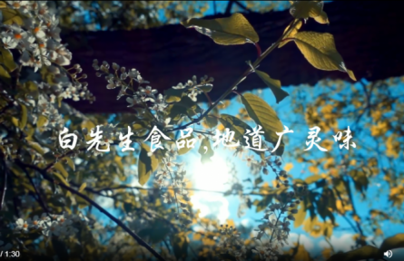 家鄉(xiāng)特優(yōu)農(nóng)品大學(xué)生推薦官 | 品牌短視頻 ②：從廣靈山野到舌尖：白先生沙棘糕的天然誕生記