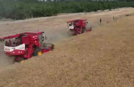 新疆：錨定振興目標 繪就農(nóng)業(yè)農(nóng)村現(xiàn)代化新圖景