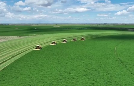 “十四五”時(shí)期我國(guó)草原生態(tài)得到全面改善