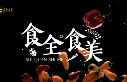 《食全食美》營養(yǎng)學講座視頻