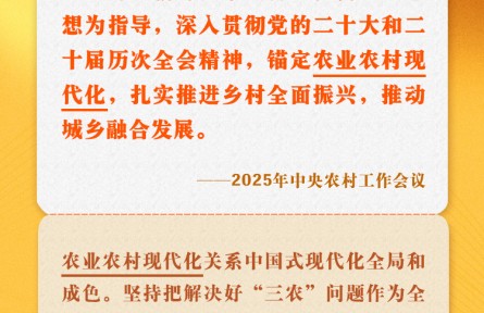 中央農村工作會議關鍵提法之一：農業(yè)農村現(xiàn)代化
