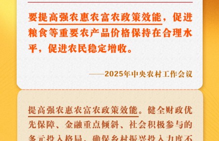 中央農村工作會議關鍵提法之二：提高強農惠農富農政策效能