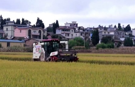 筑牢根基 守好糧倉 云南糧食和物資儲備保障能力顯著增強