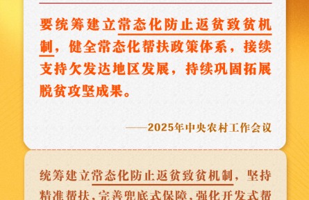 中央農村工作會議關鍵提法之六：常態(tài)化防止返貧致貧機制