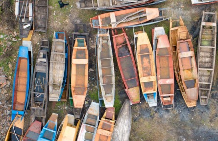 長(zhǎng)江禁漁五年，發(fā)生了哪些變化？