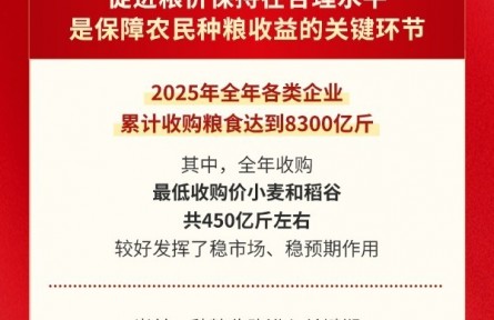毫不放松抓好糧食生產 夯實糧食安全根基