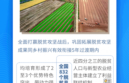 理響中國·聚焦2026“三農”工作|從三個關鍵點看“培育壯大縣域富民產業(yè)”