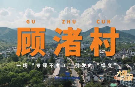 大國小村|一場“考綠不考工”引發(fā)的“綠變”